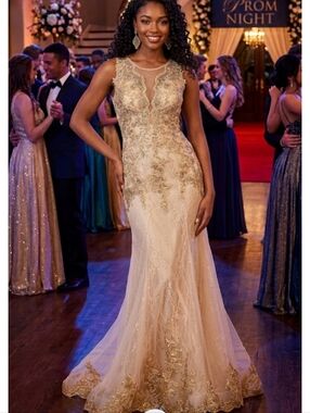 Elegant Sleeveless Embellished Evening Gown